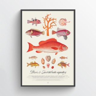 Plakat kolaż oceaniczny 2
