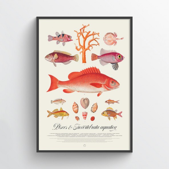 Kolaż oceaniczny Poster