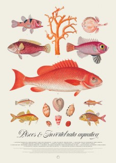 Plakat kolaż oceaniczny