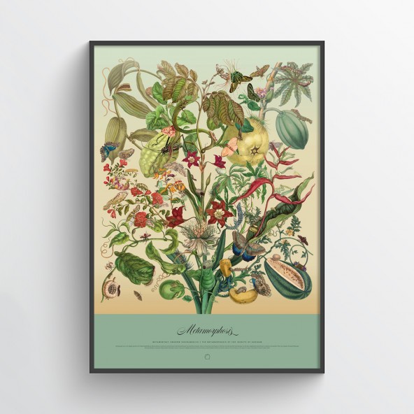 Metamorfozy Poster Metamorfozy Poster