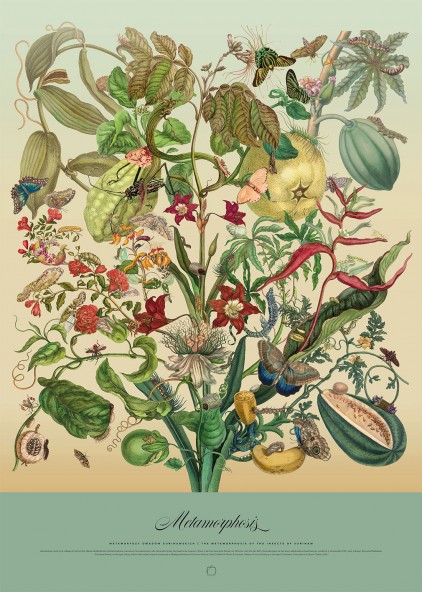 Metamorfozy Poster Metamorfozy Poster