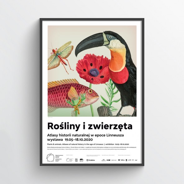Plakat Rośliny i zwierzęta I Plakat Rośliny i zwierzęta I
