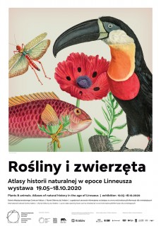 Plakat Rośliny i zwierzęta I