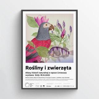 Plakat Rośliny i zwierzęta II 2
