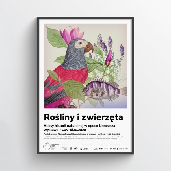Plakat Rośliny i zwierzęta II Plakat Rośliny i zwierzęta II