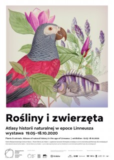 Plakat Rośliny i zwierzęta II