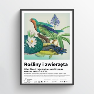 Plakat Rośliny i zwierzęta III 2