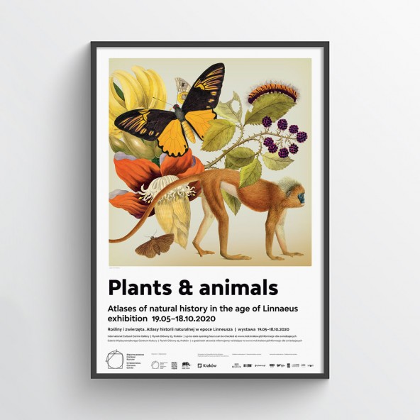 Plants & Animals Poster