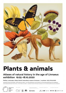 Plakat Plants & Animals