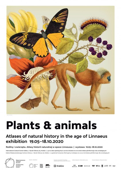 Plakat Plants & Animals Plakat Plants & Animals