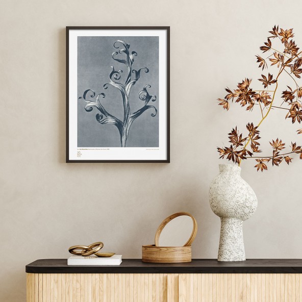 Studium Rośliny I Poster