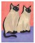 Twins Poster Twins Poster