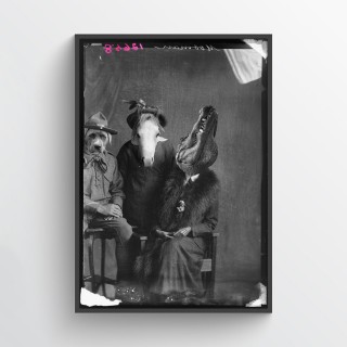 Plakat Animals 2