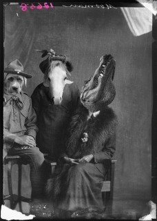 Plakat Animals