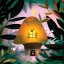 Plakat Mushroom Plakat Mushroom