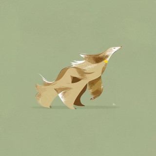 Plakat Windy Dog